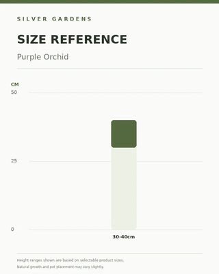 SG Size Reference — Purple Orchid
