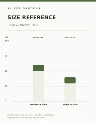 SG Size Reference — Rare & Bloom Duo
