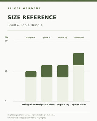 SG Size Reference — Shelf & Table Bundle