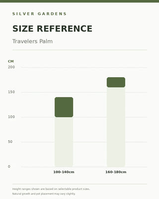 SG Size Reference — Travelers Palm