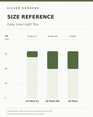 SG Size Reference — Easy Low-Light Trio — verified Shopify height options