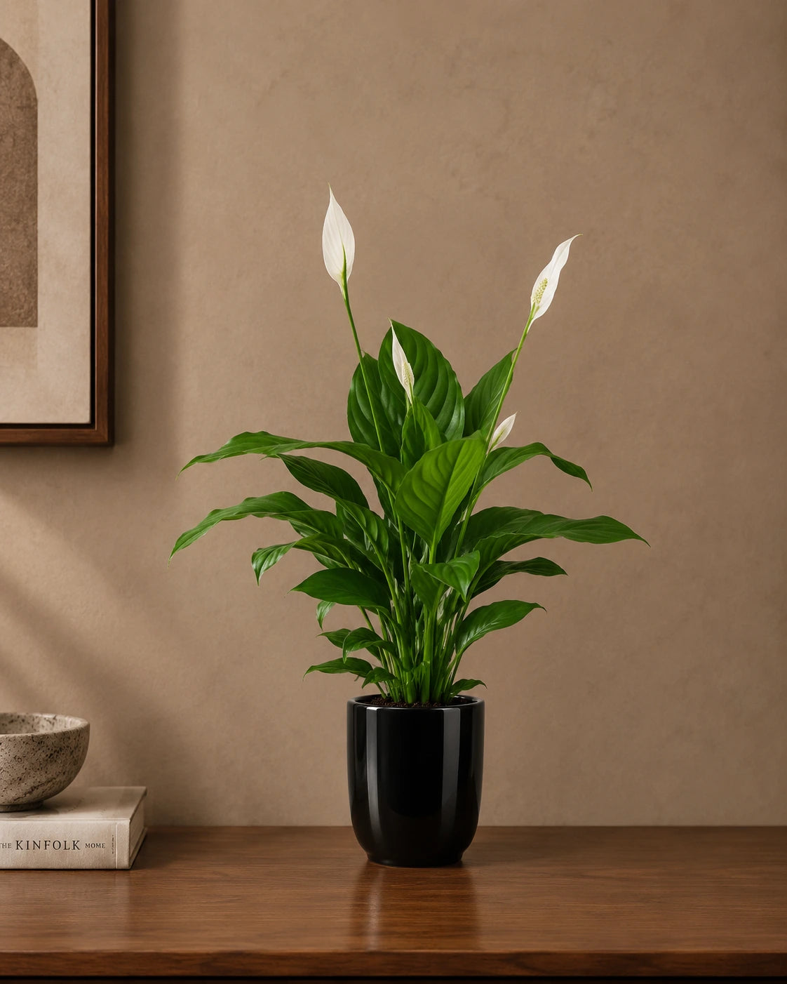 Peace Lily