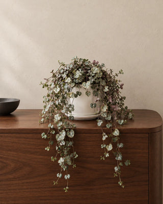 String of Hearts in Luma Mini White, 20–25 cm
